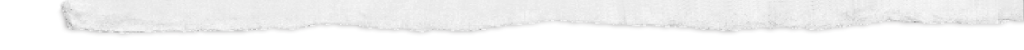 Paper Footer
